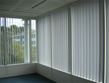 Professional & Expert Window Blind Services